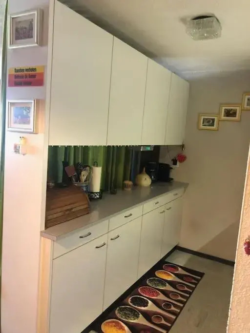 1-room apartment * directly by the cable car * Bernese Alps