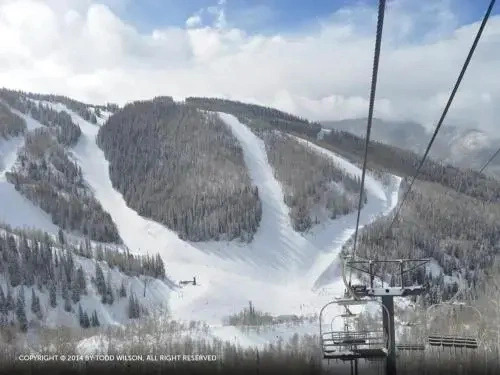 Storm Meadows I At Christie Base
