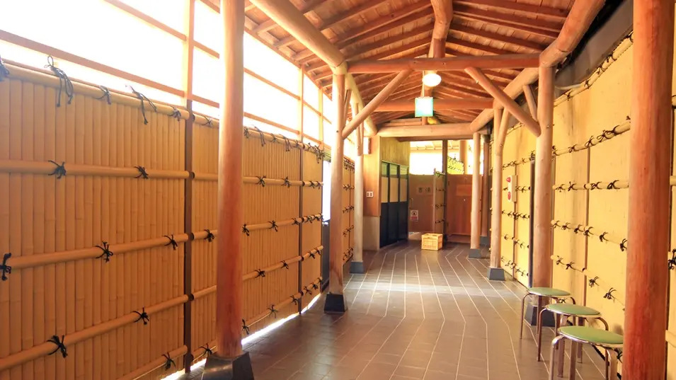 Tsurunoyu Onsen
