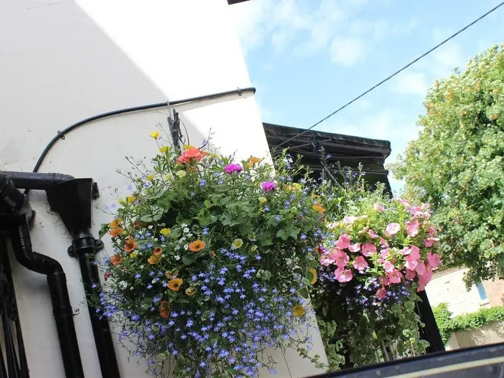 The Frocester