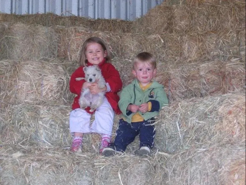 Lee Farm Stay Cottages