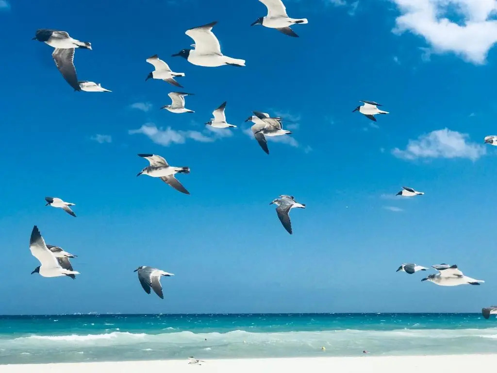 New Year Available 3BR 200Mbps Wifi & Bikes & Beach Access