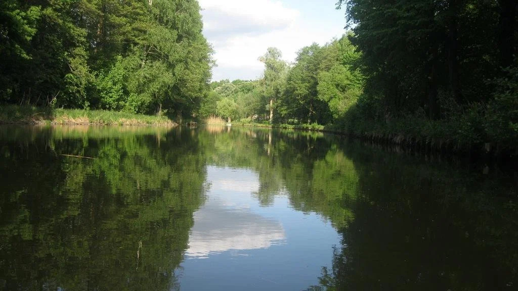Pension Wiesenhof B&B