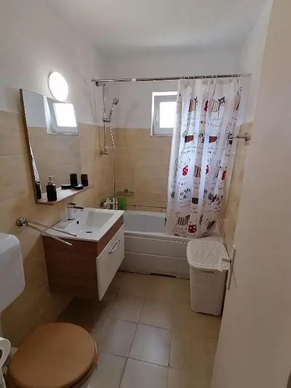 Piata Victoriei 2 Room Apartment