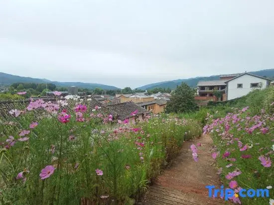 Shaxi Xipi OneRoom B&B