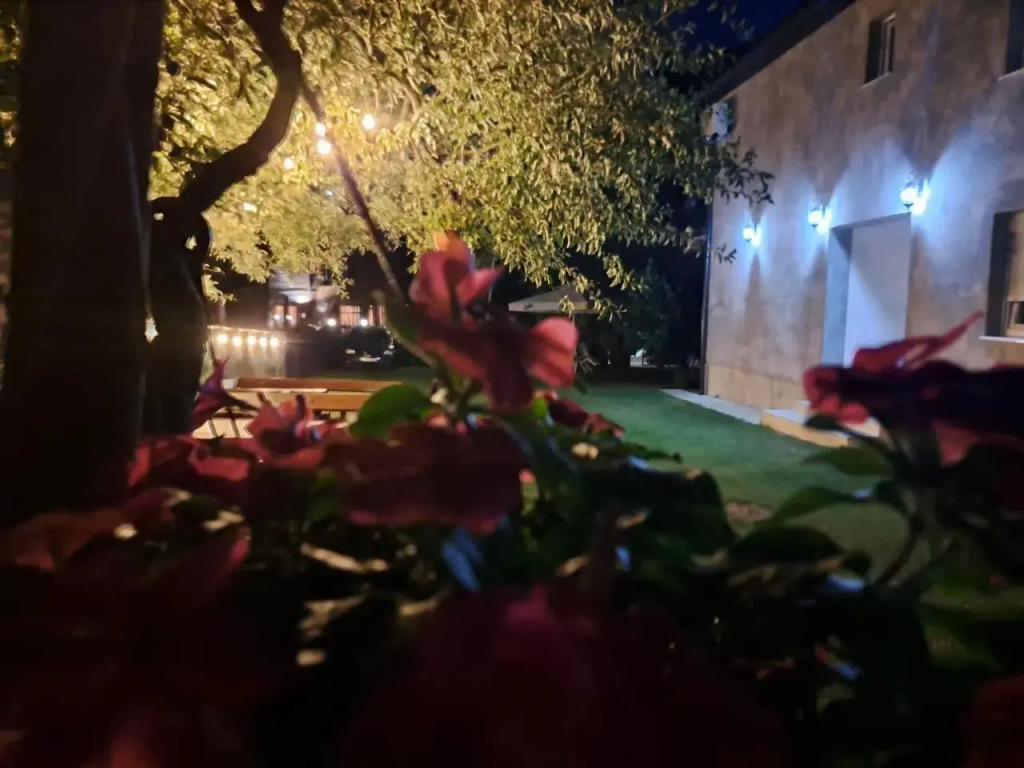 Rooms Lida & Friendly home