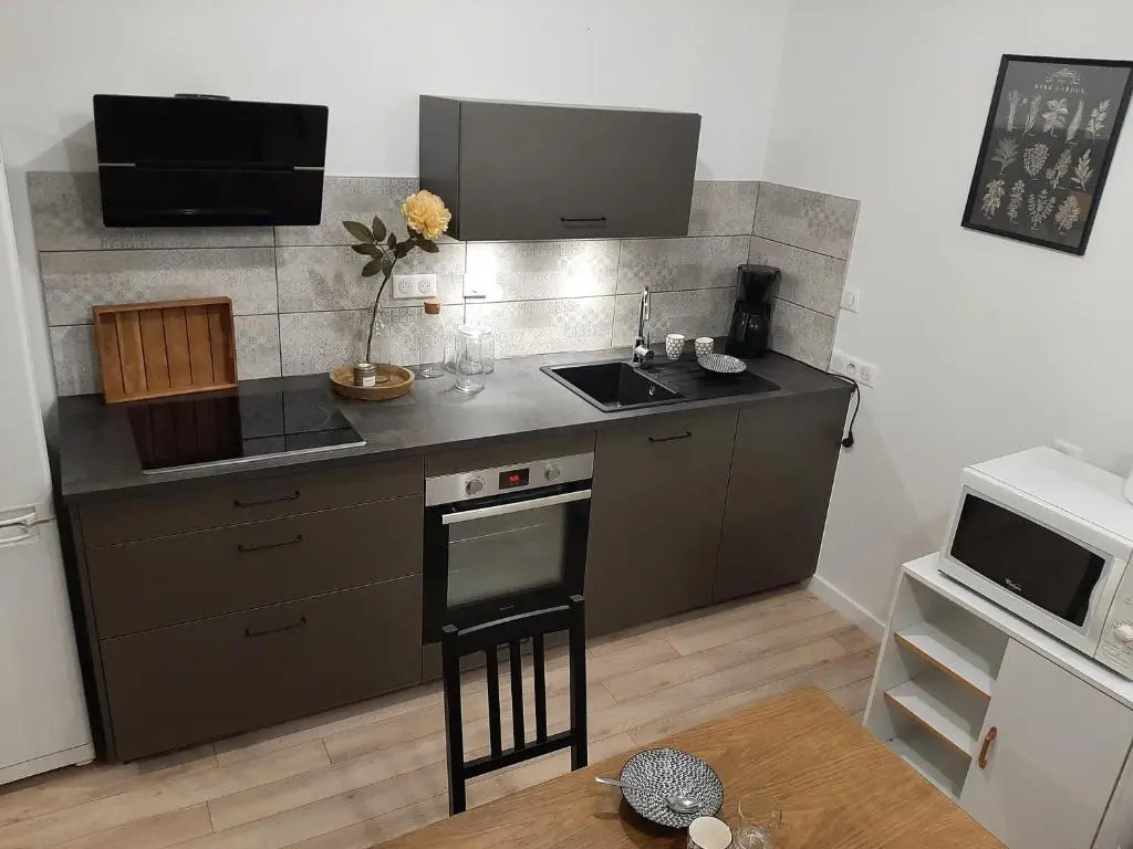 LOUHANS Les Petites Arcades avec ses deux appartements coté Arcades et coté cour