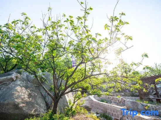 Qingdao Qijing Courtyard Homestay (Laoshan Scenic Area Yankou Seawater Bathing Beach)