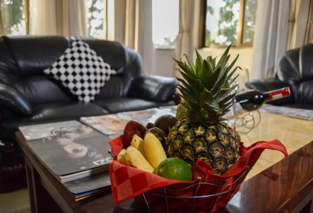 Elevate Suites