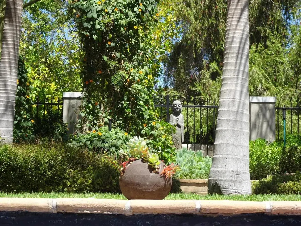 African Palm Cottage and Guesthouse