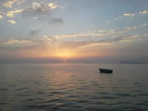 Sunrise BB