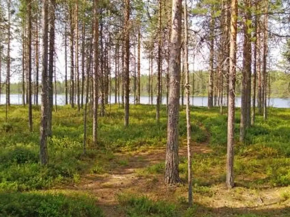 Syv Niemi Kuusamo in Kuusamo