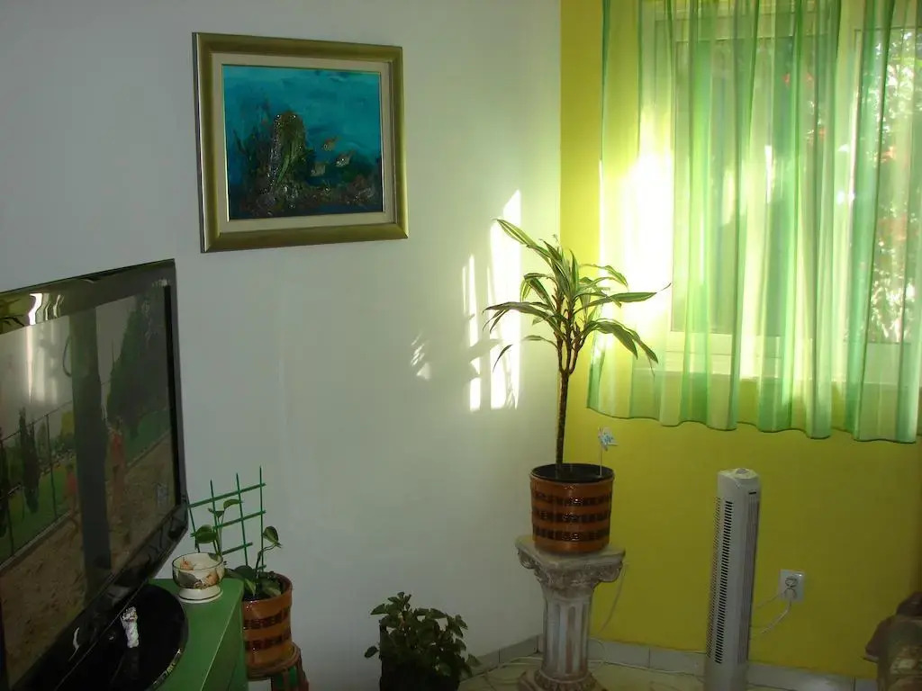 Apartment Franicevic