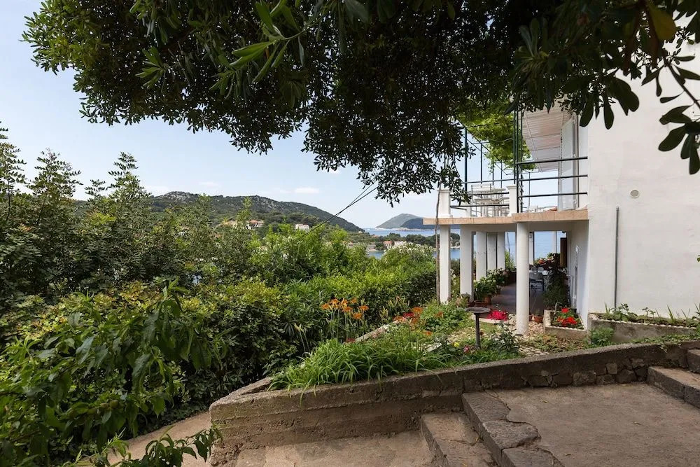 Apartments Miskovic