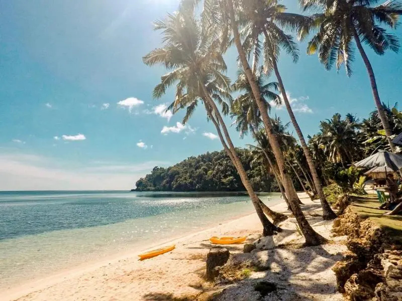 Tuburan Cove Beach Resort
