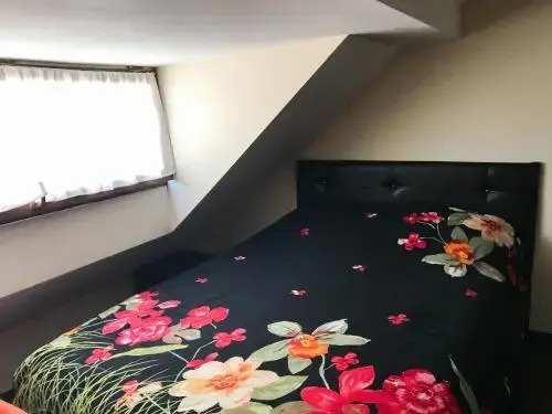 Guesthouse Abashidze 4