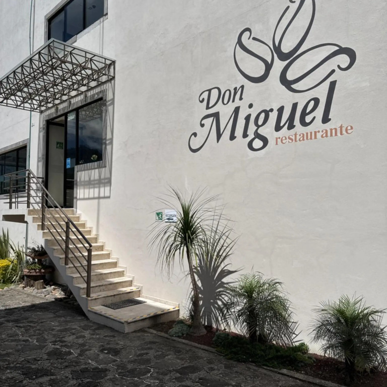 Hotel Suites Don Miguel