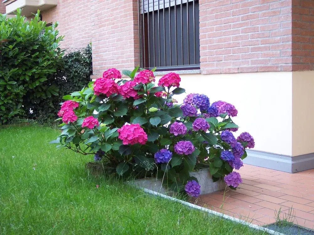 B&B Il Parco