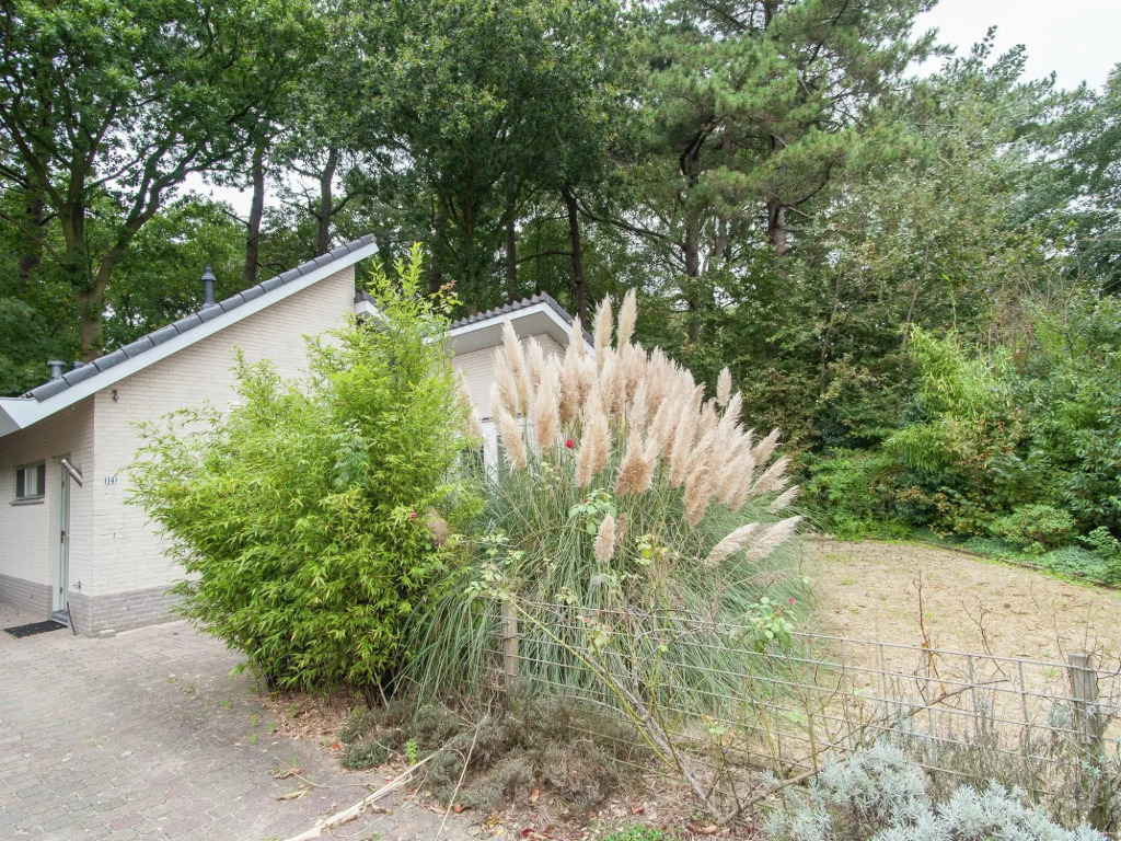 Elite Holiday Home in North Holland near Forest