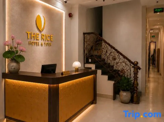 The Rice Hotel & Tour - 27 Nguyen Thai Binh No 11