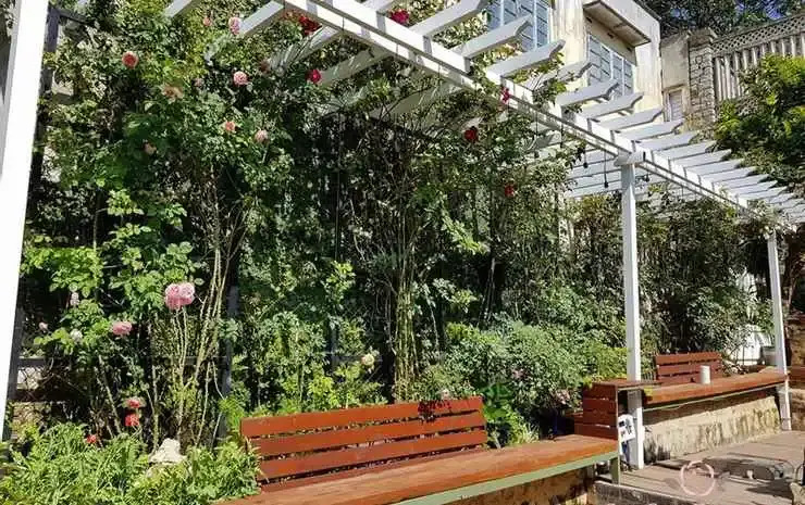 Six Six Garden - Rose Koi Homestay Dalat