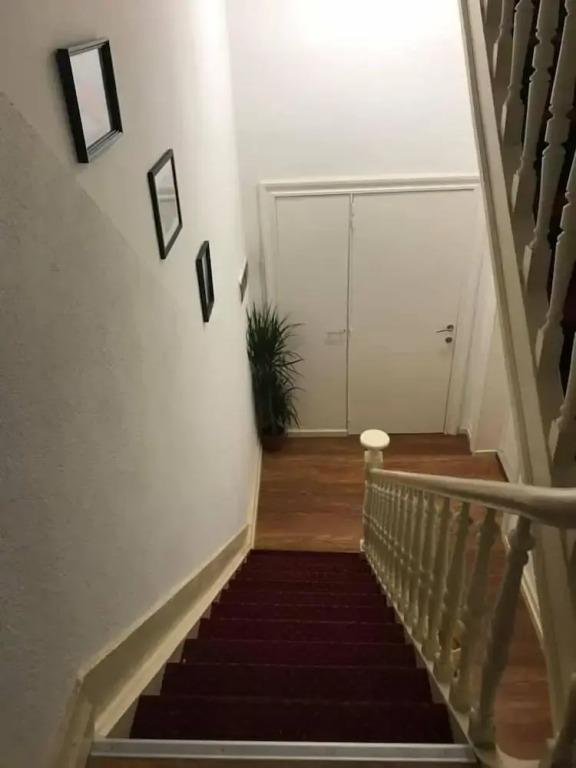 The Hive Rooms