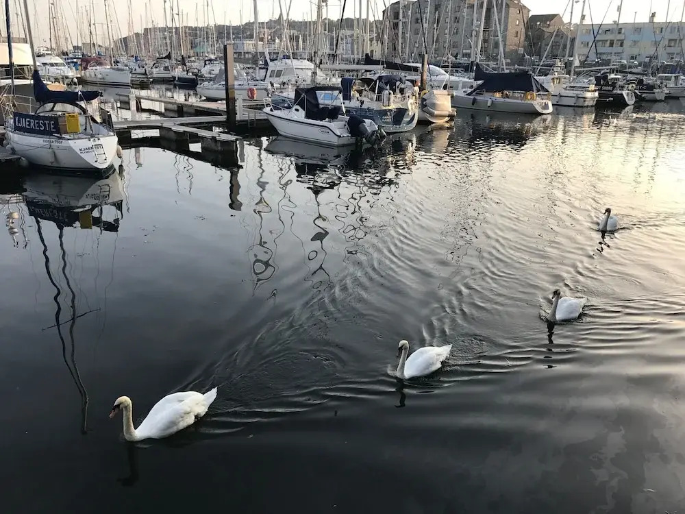 Freeman's Wharf