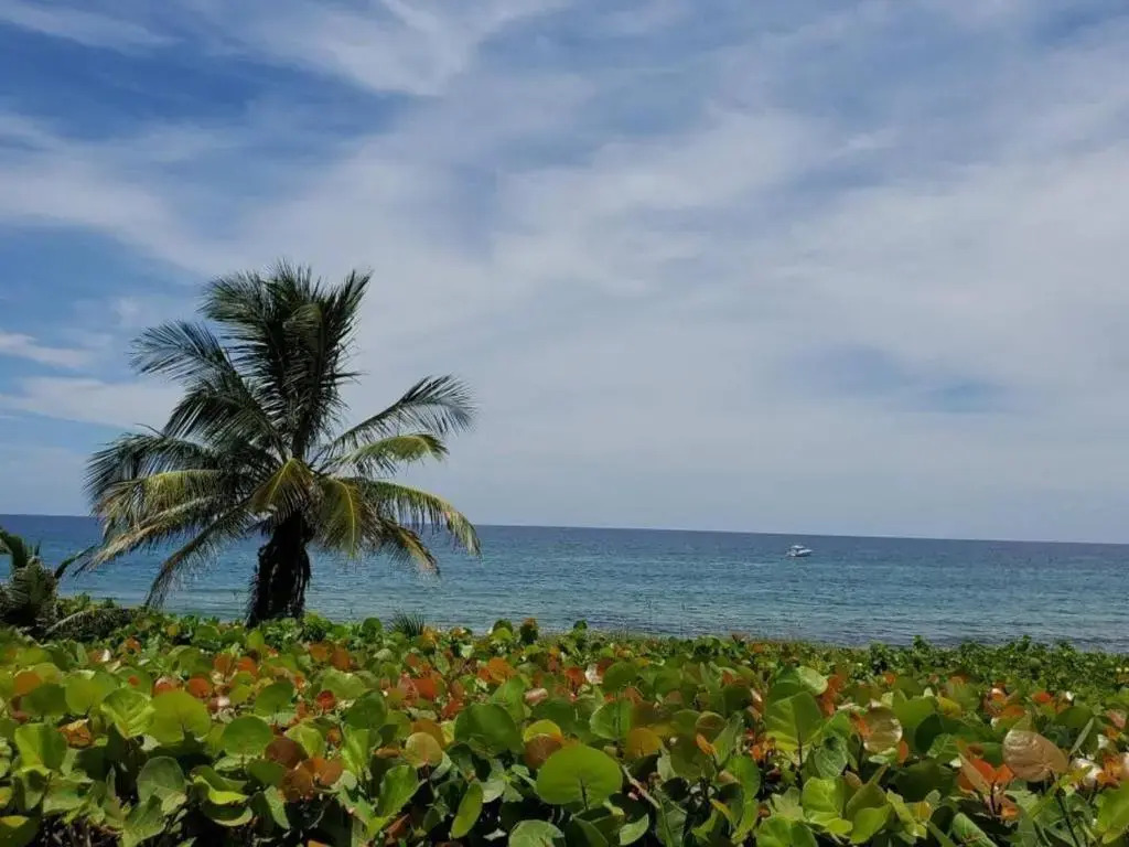 Beautiful Spacious and Luxury Delray Beach House! Near the Beach!