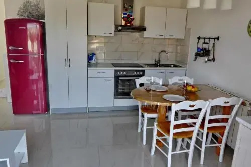 Apartments Curicta 1