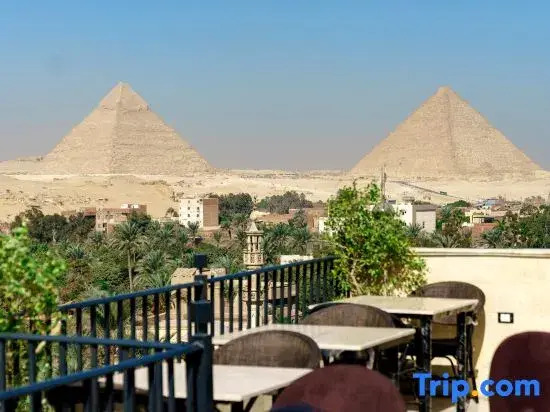 New Gardenia Pyramids - Rooftop