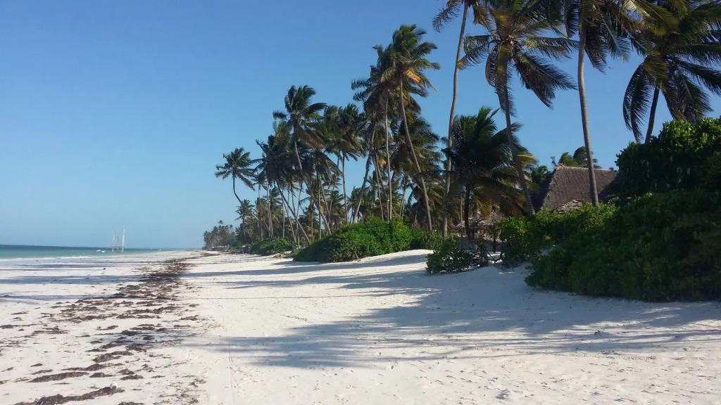 Five Palms Bwejuu