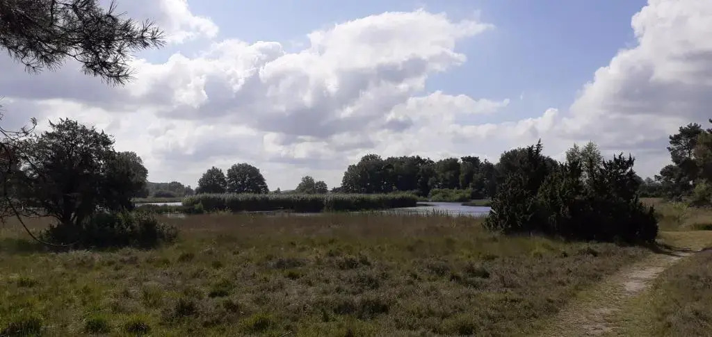 Drentse bungalow in natuur en rust