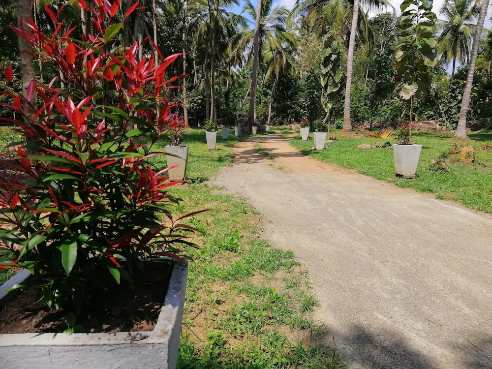 Ama Villa Homestay