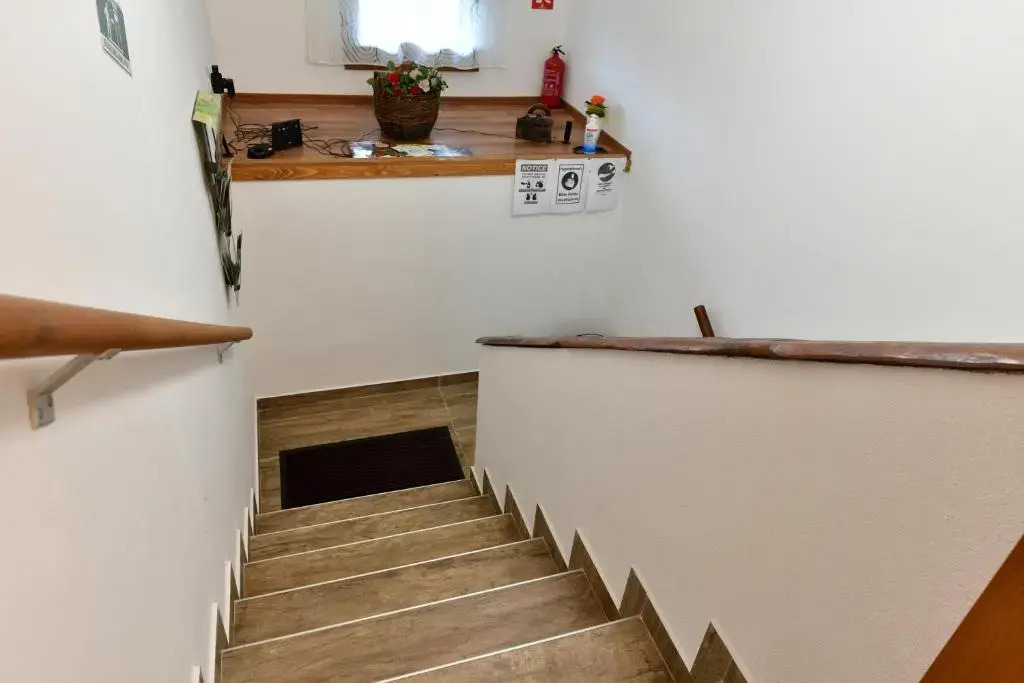 Apartman Jelena