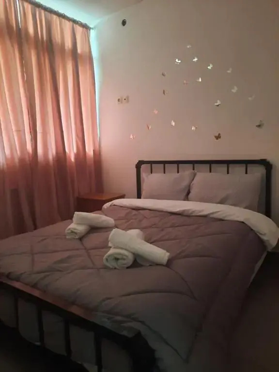 Evis Rooms