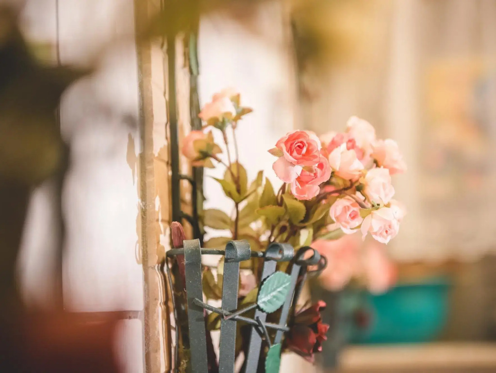 Rose B&B