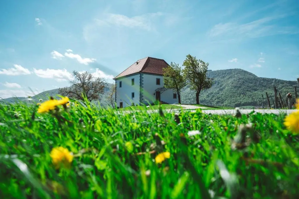 Wine Growers Mansion Zlati Gric