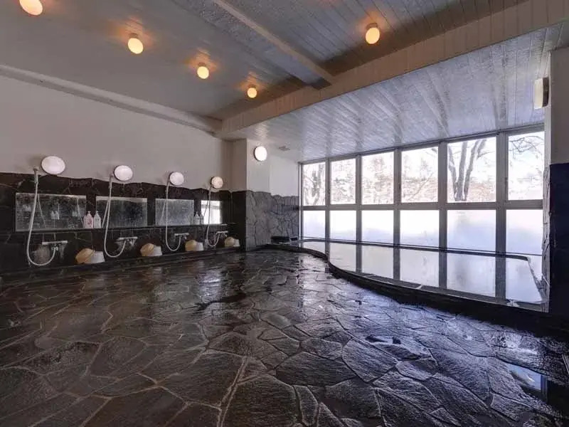 妙高阳光酒店(Hotel Sunlight Myoko)