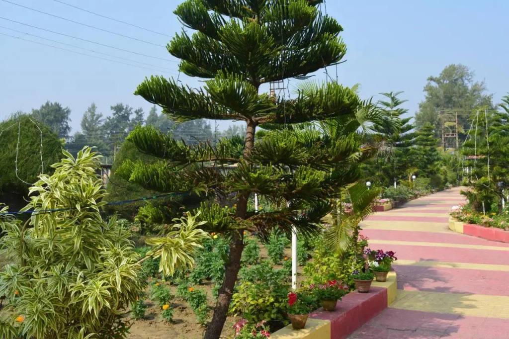 Sunview Resort