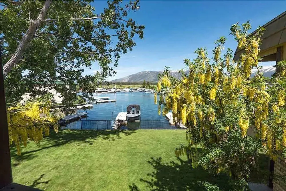 439 Ala Wai Blvd.,103 - 3 Br condo by RedAwning