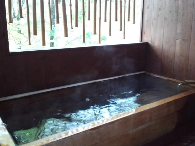 Ryokan Le Vent Vert Kokyo