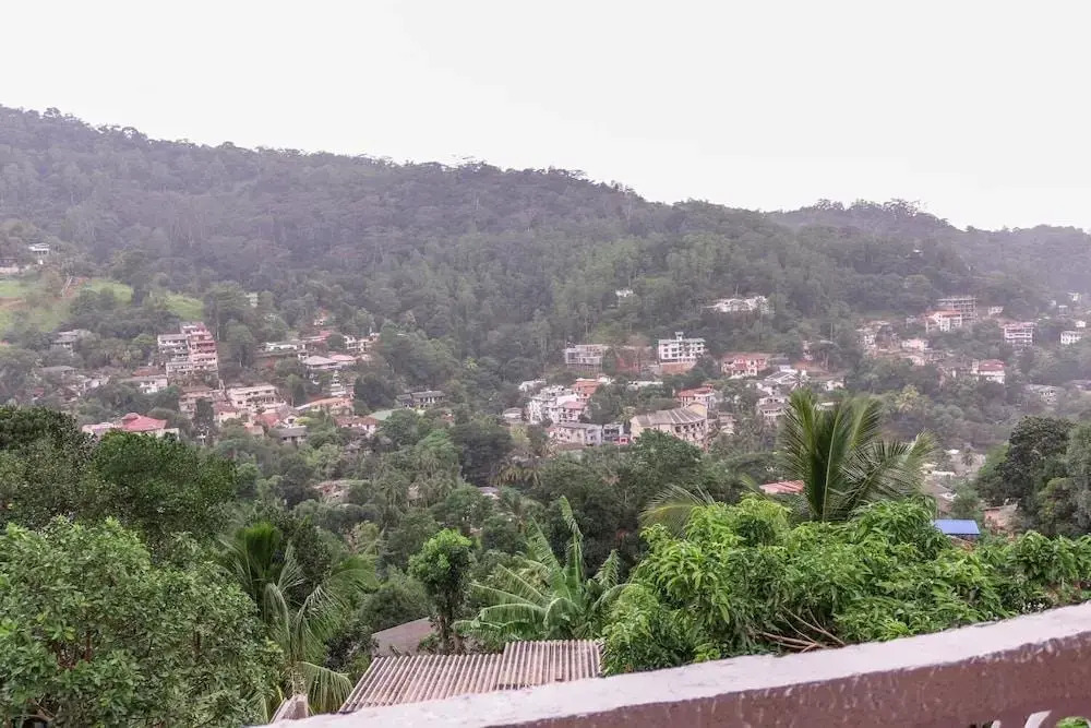 Nature View Lodge