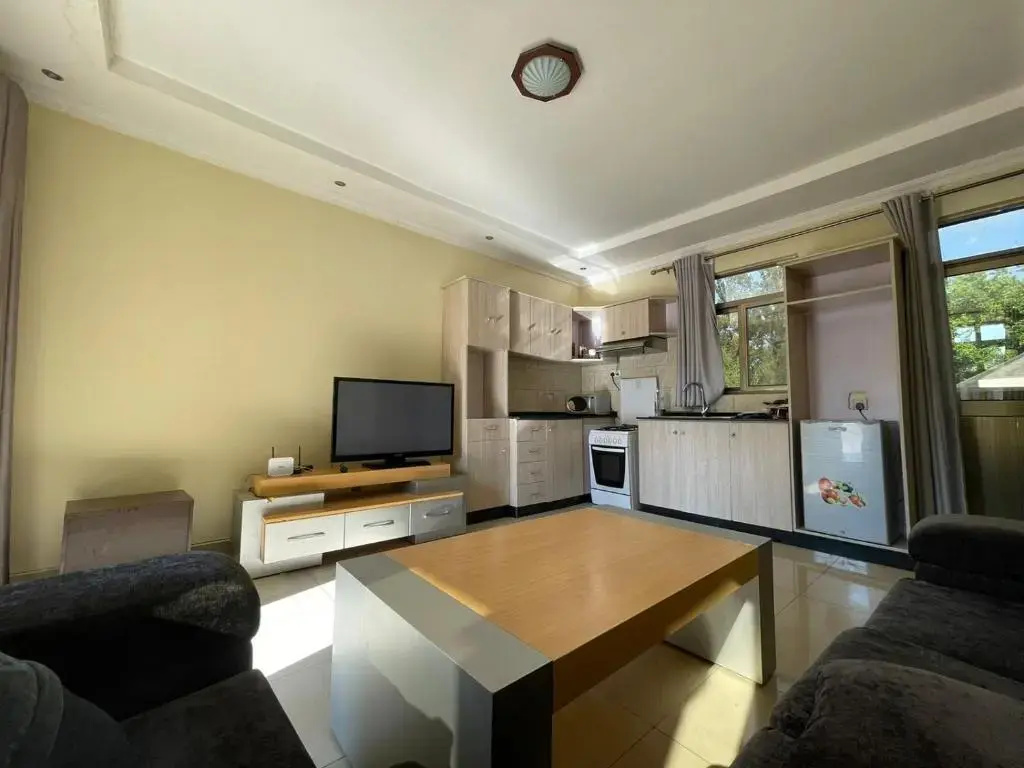 Spacious 1 Bedroom Apartment, Kigali