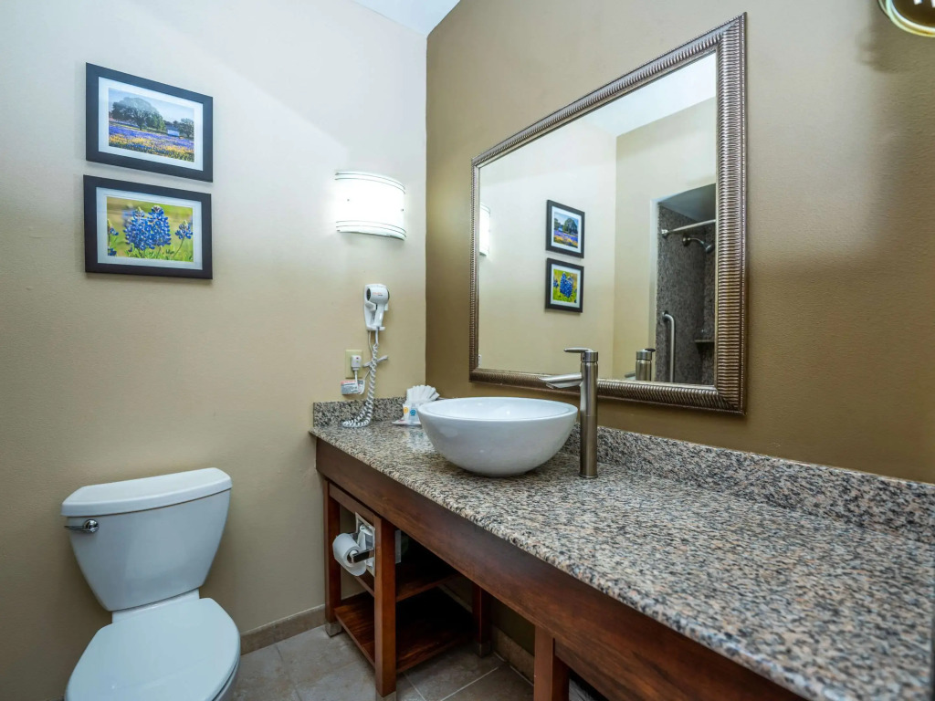 Comfort Suites Old Town Spring