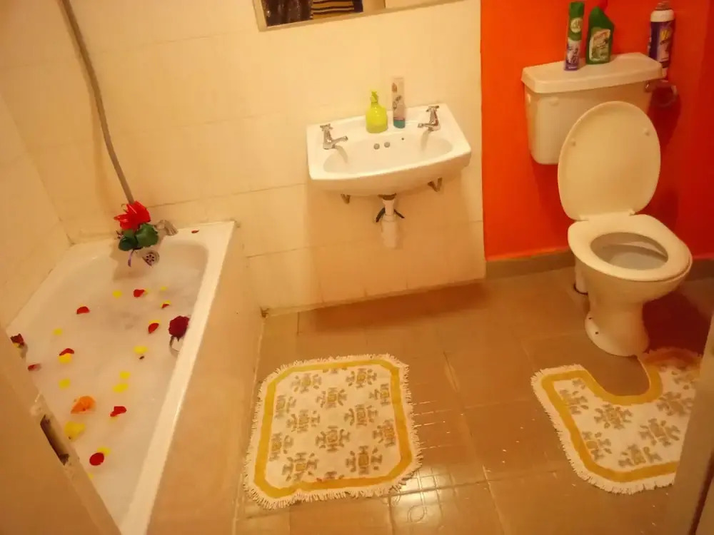 Exquisite Airport Apartment