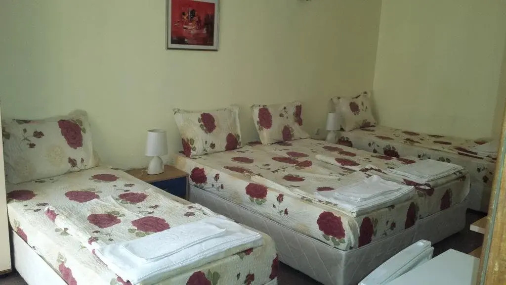Guest House Pri Valyo