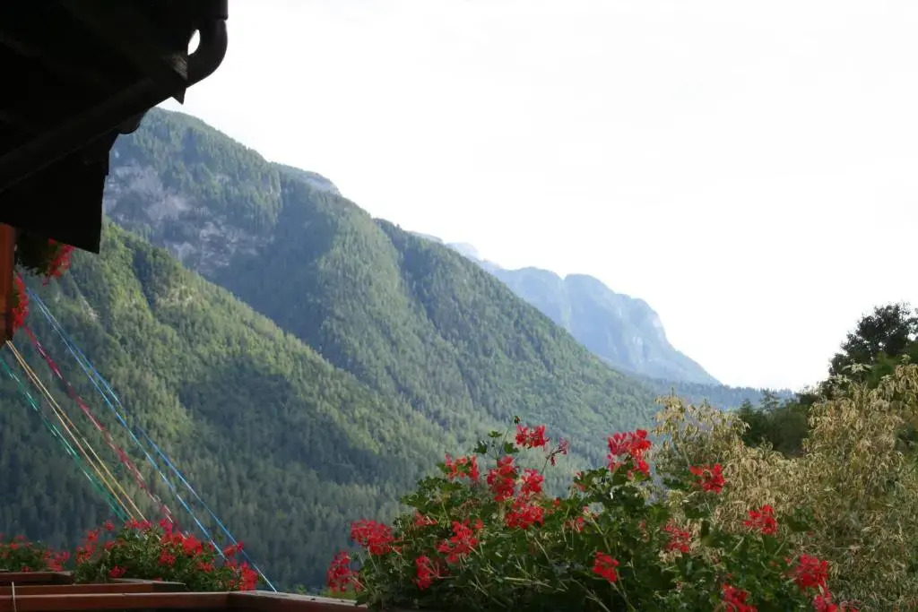 Hotel Michela