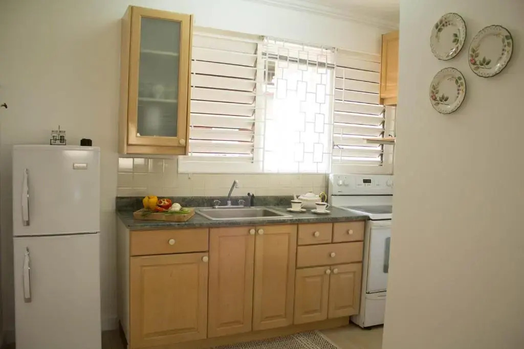 Kingston Luxury Condo Apartment