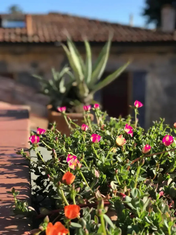 Appartamento Residence Castiglione