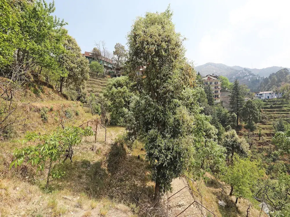 OYO 13785 Home Boutique 2BHK Ramgarh Nainital